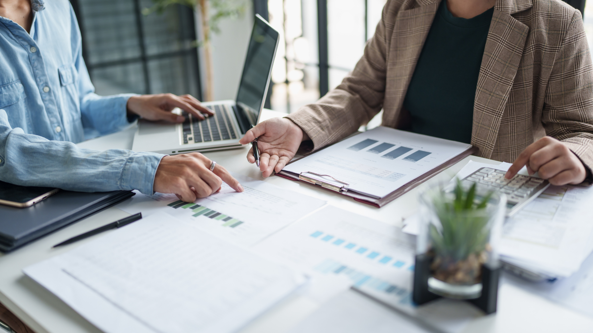 Asesoría Tributaria